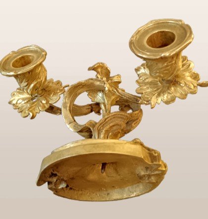 Pair Of Louis XV Style Gilded Bronze Sconces-photo-7