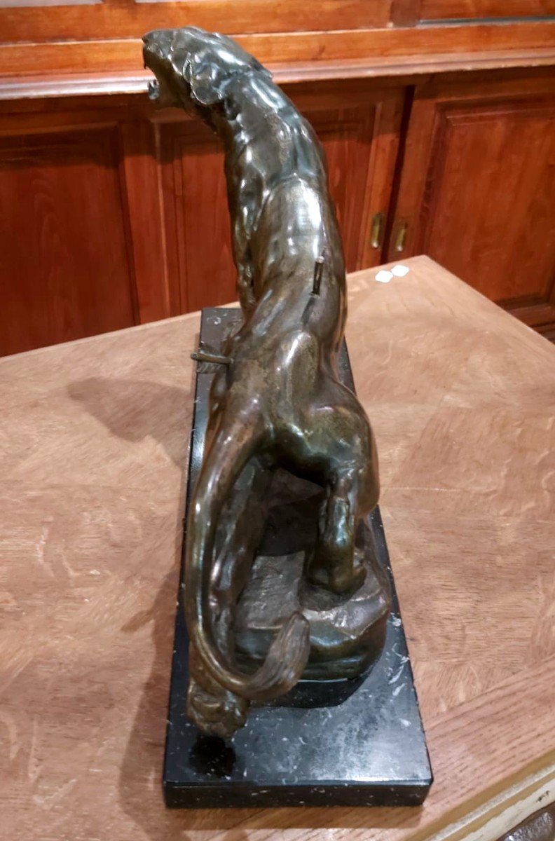 Bronze 'la Lionne Blessée'-photo-3