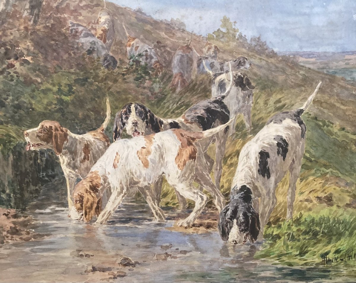 Marie Calves, Hunting Dogs-photo-3