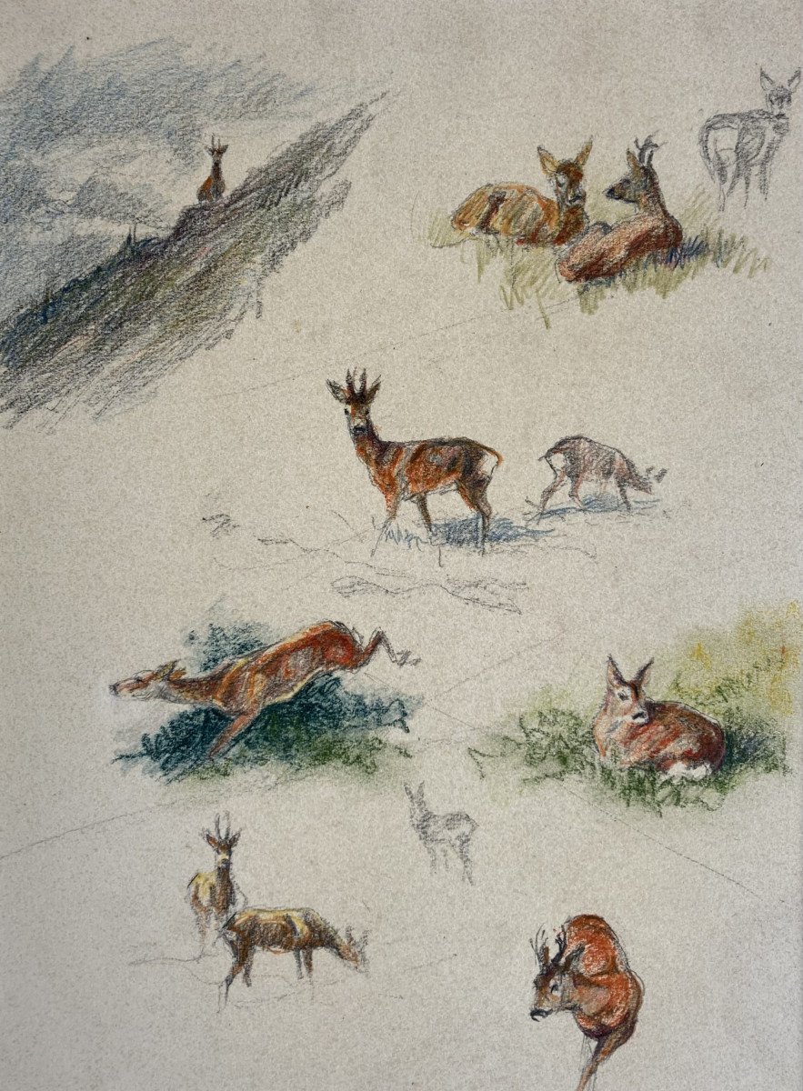 Charles Hallo, Deer