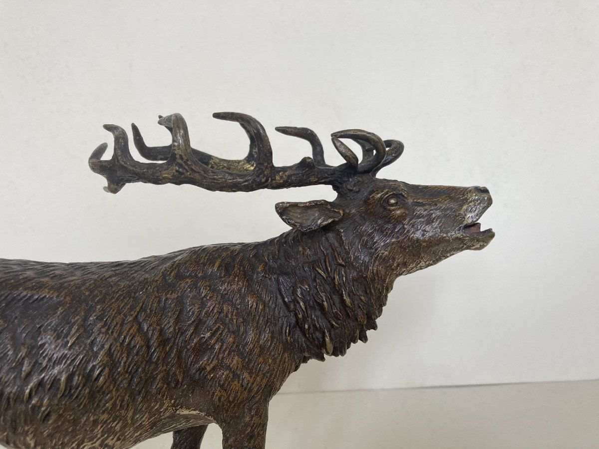 Bronze De Vienne, Cerf-photo-2