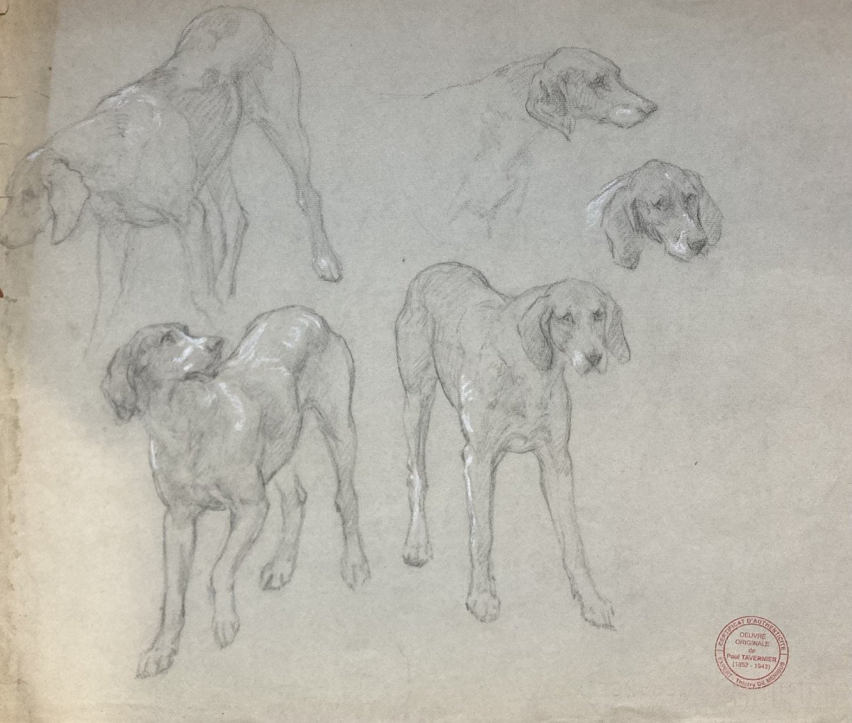 Paul Tavernier, Hunting Dog