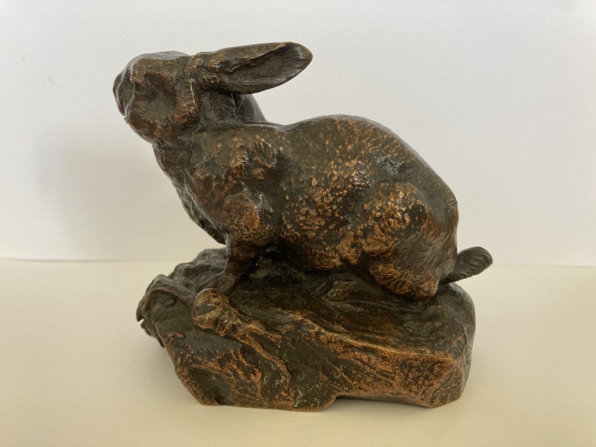 Prosper Lecourtier, Rabbit-photo-4