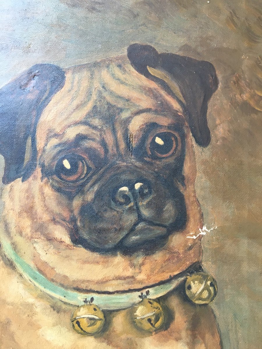 Pug, Oil On Canvas -photo-2
