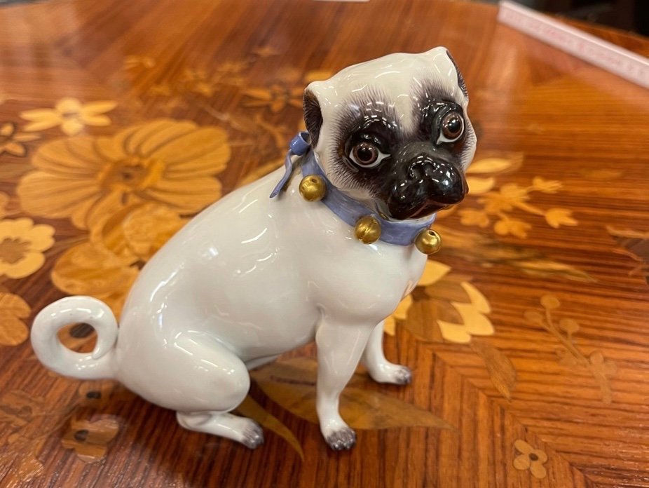 Meissen Pug-photo-3