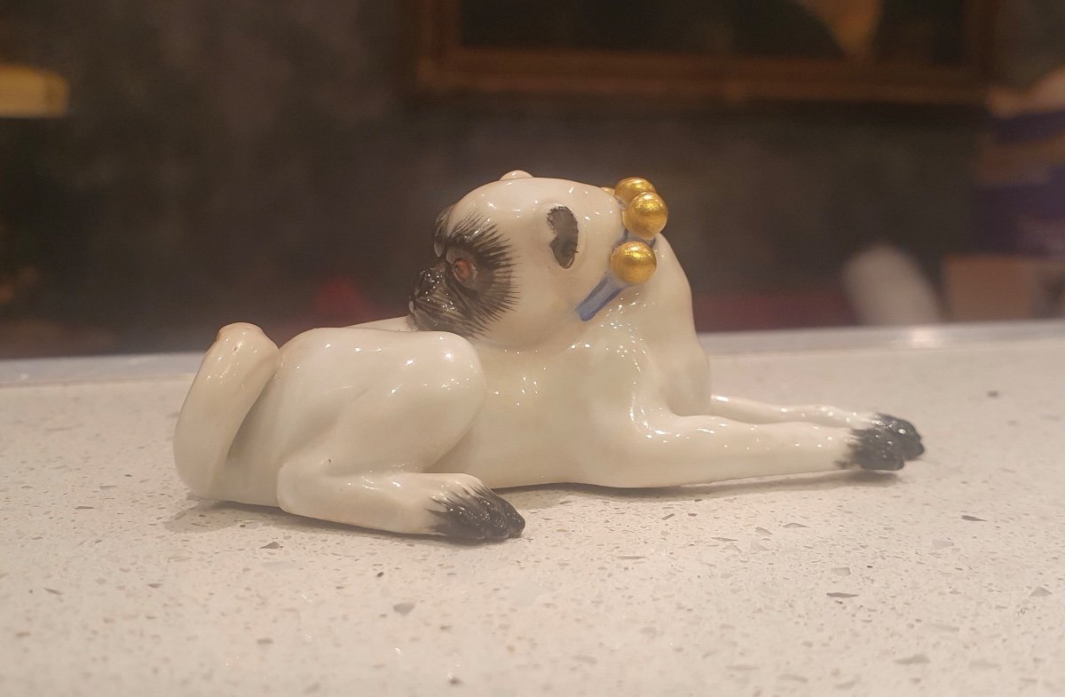 Meissen Pug-photo-3