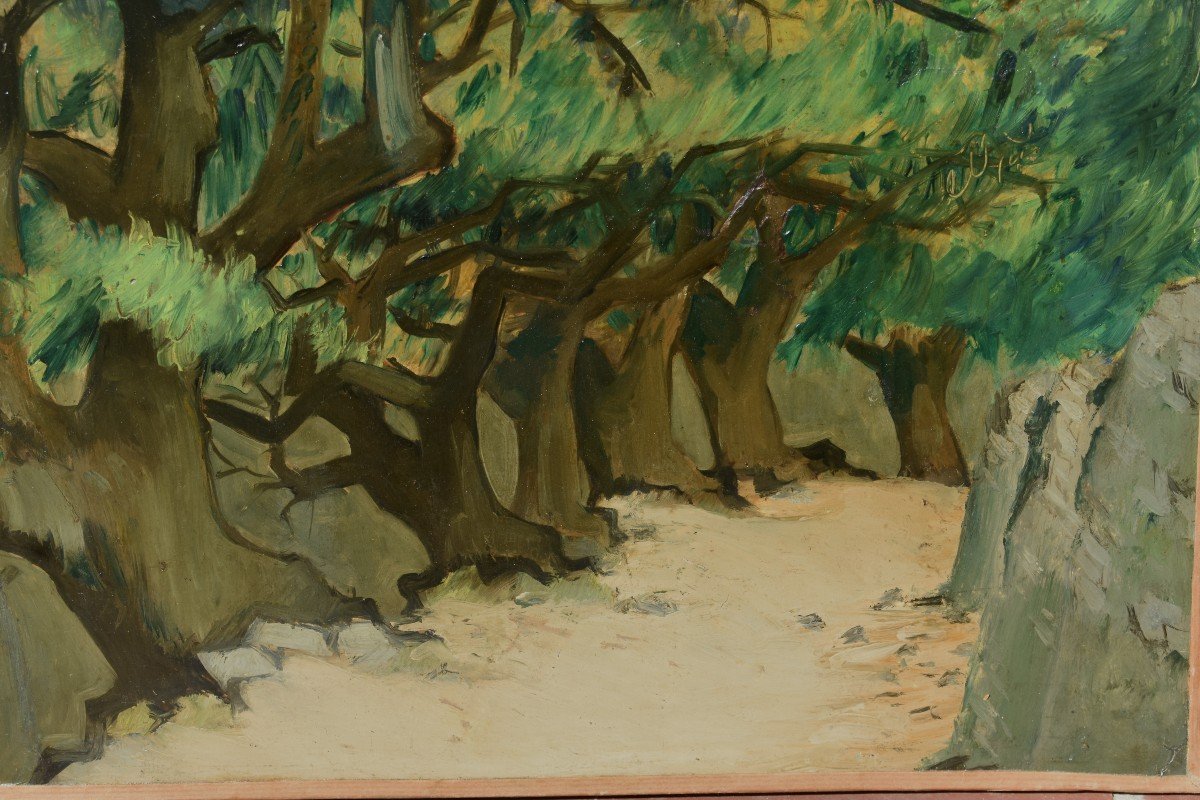 Painting Oil On Canvas Chemin De Provence Signed Robert Humblot (1907-1962)-photo-3