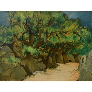 Tableau Huile Sur Toile Chemin De Provence Signé Robert Humblot (1907-1962)