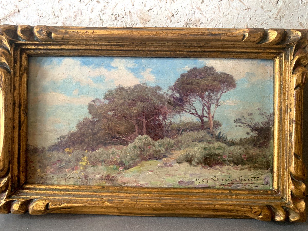 Louis Gautier (1855-1947), Bouquet De Pins Sur Le Mont Boron, Nice, Huile 1926-photo-3