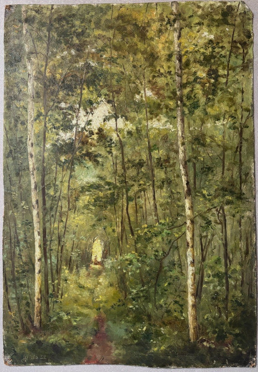 Arthur Perdreau (xixe-xxe), Forêt, Ecole De Barbizon, Huile Sur Toile-photo-2