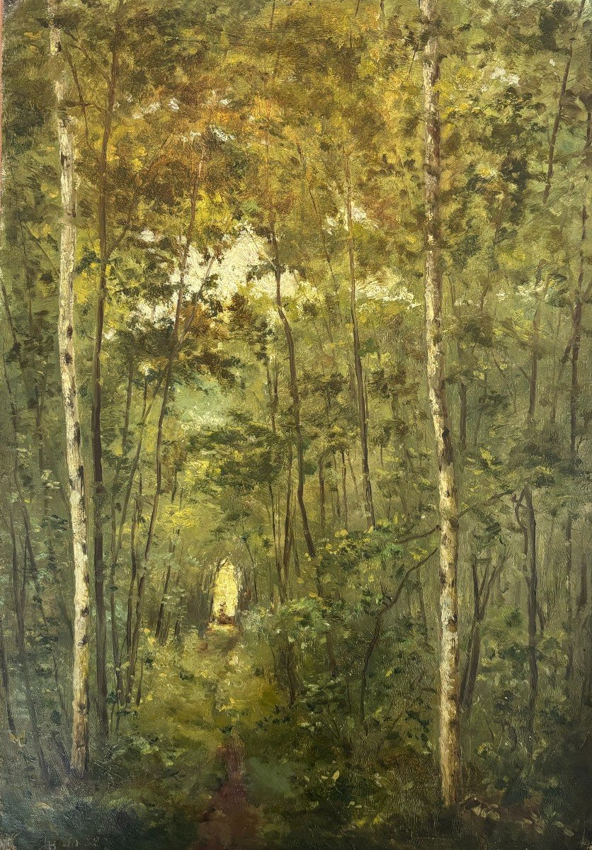 Arthur Perdreau (xixe-xxe), Forêt, Ecole De Barbizon, Huile Sur Toile