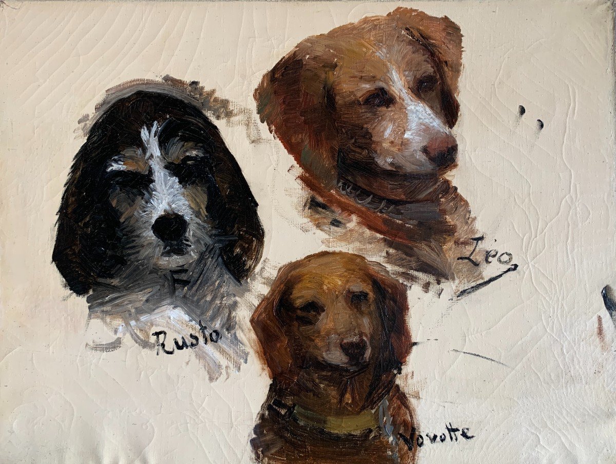 Ecole Française Vers 1900, Portraits De Chiens, Portraits Canins, Esquisse, Huile Sur Toile-photo-2