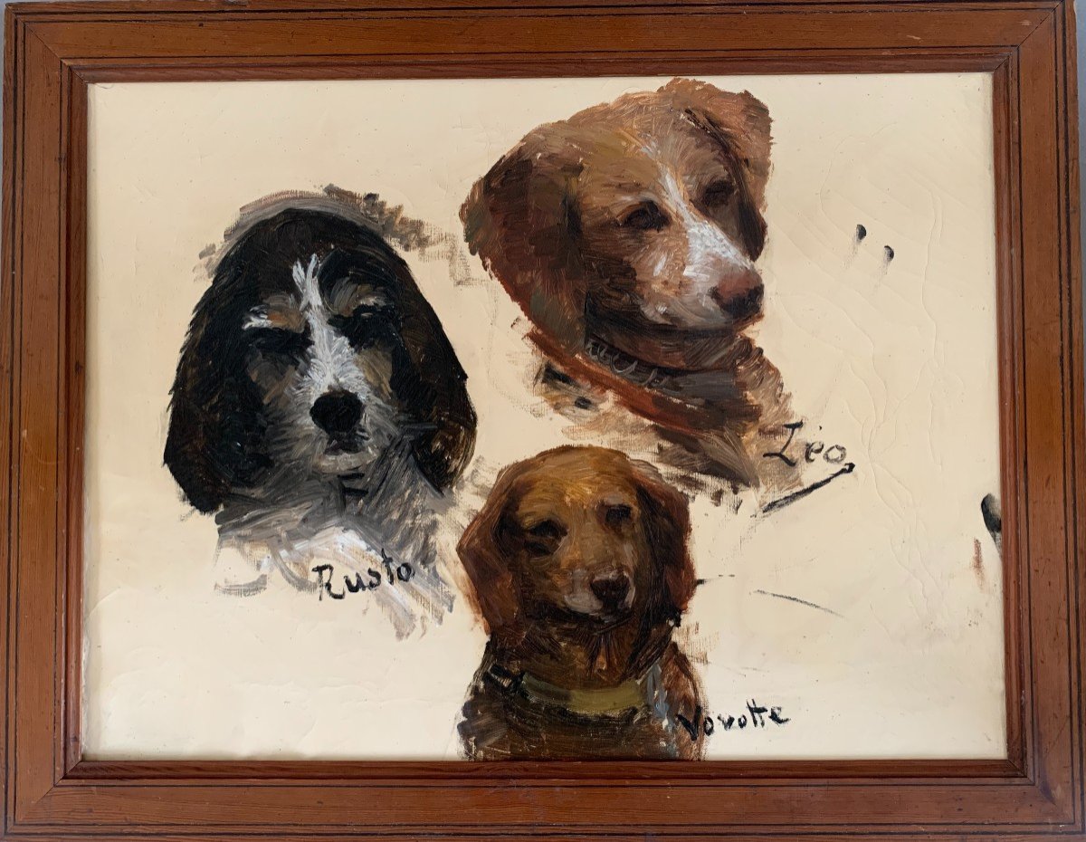 Ecole Française Vers 1900, Portraits De Chiens, Portraits Canins, Esquisse, Huile Sur Toile