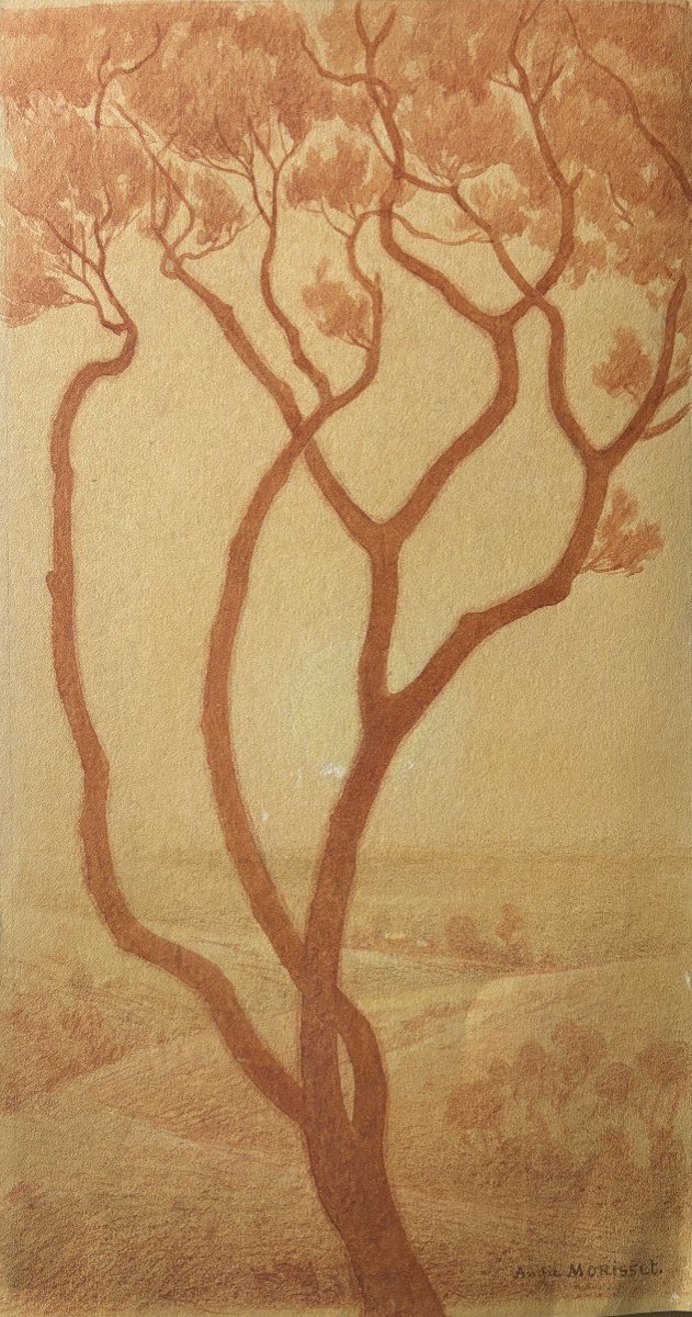 André Morisset (born 1876), Study Of Pine, Drawing, Symbolism