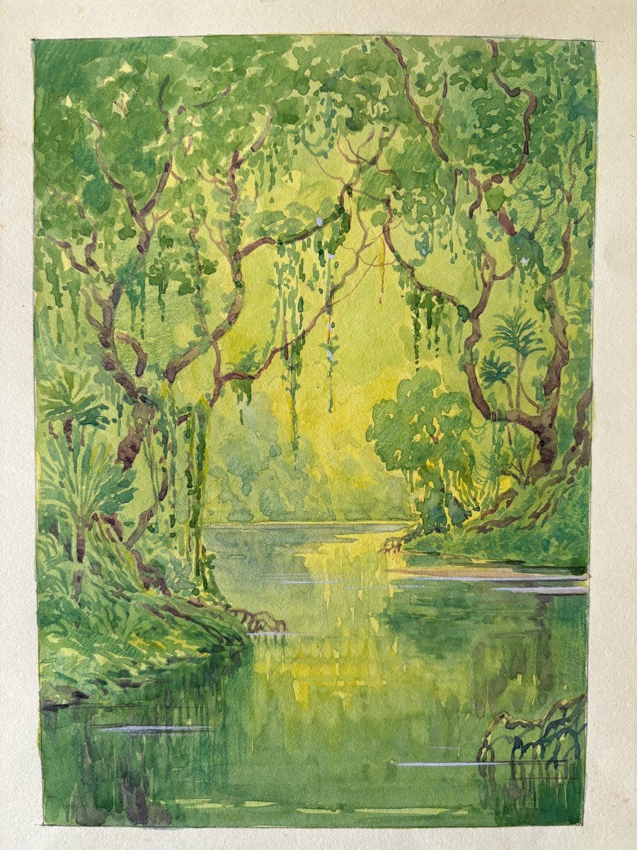 André Morisset (born In 1876), The Mangrove Or Tropical Forest, Drawing, Symbolism-photo-2