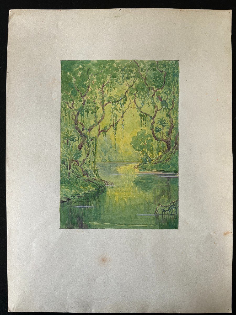 André Morisset (born In 1876), The Mangrove Or Tropical Forest, Drawing, Symbolism-photo-3