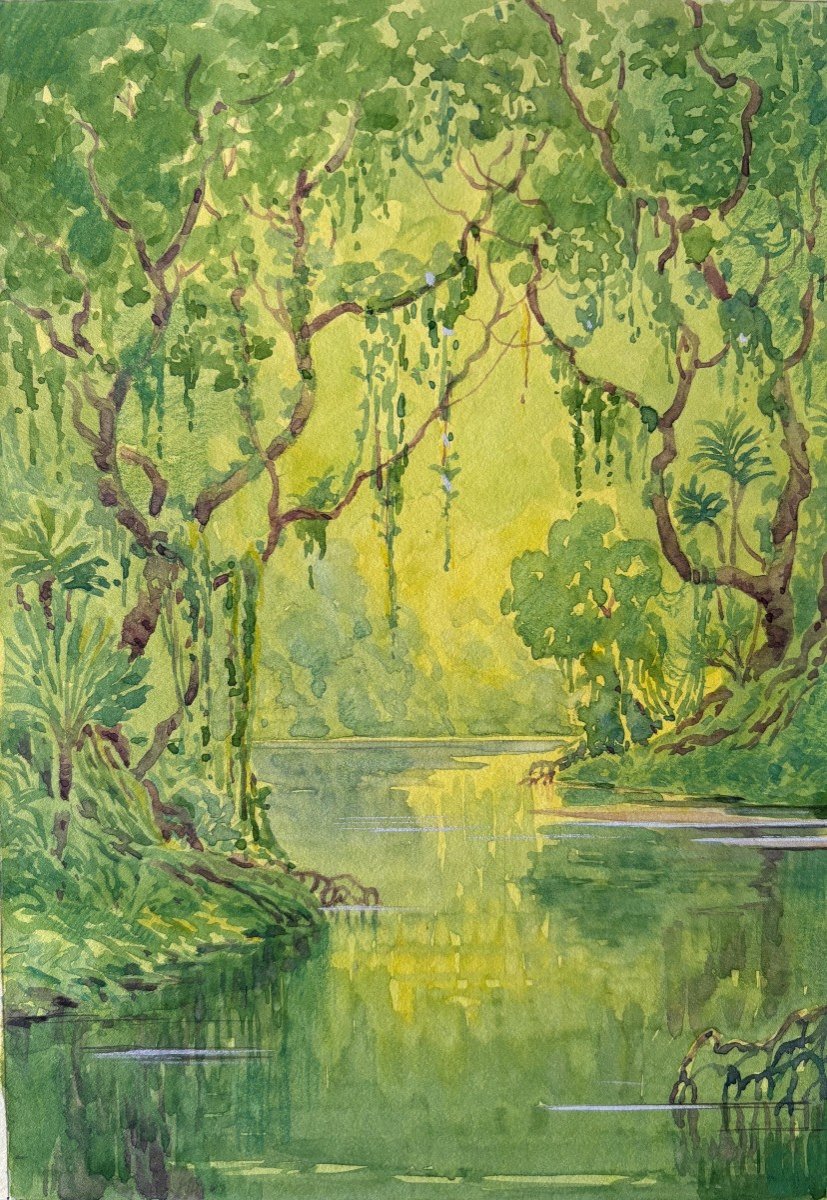 André Morisset (born In 1876), The Mangrove Or Tropical Forest, Drawing, Symbolism