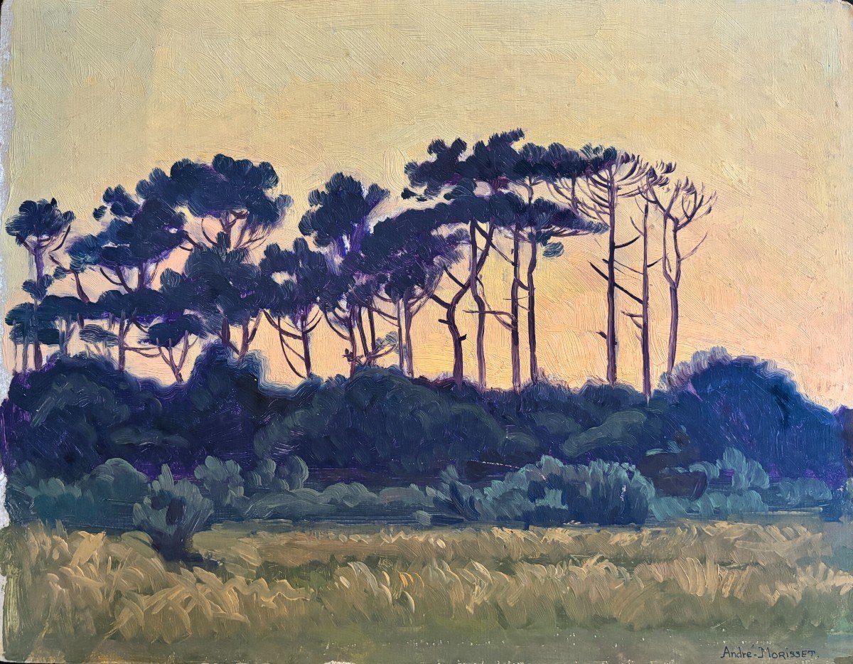 André Morisset (born 1876), Parasol Pines At Sunset, Oil, Symbolism