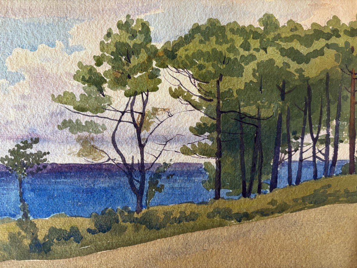 André Morisset (1876-1954), Pines By The Sea, Watercolor Drawing-photo-2