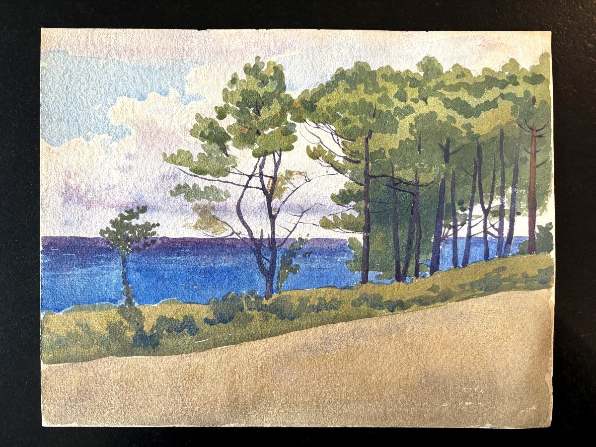 André Morisset (1876-1954), Pines By The Sea, Watercolor Drawing-photo-3