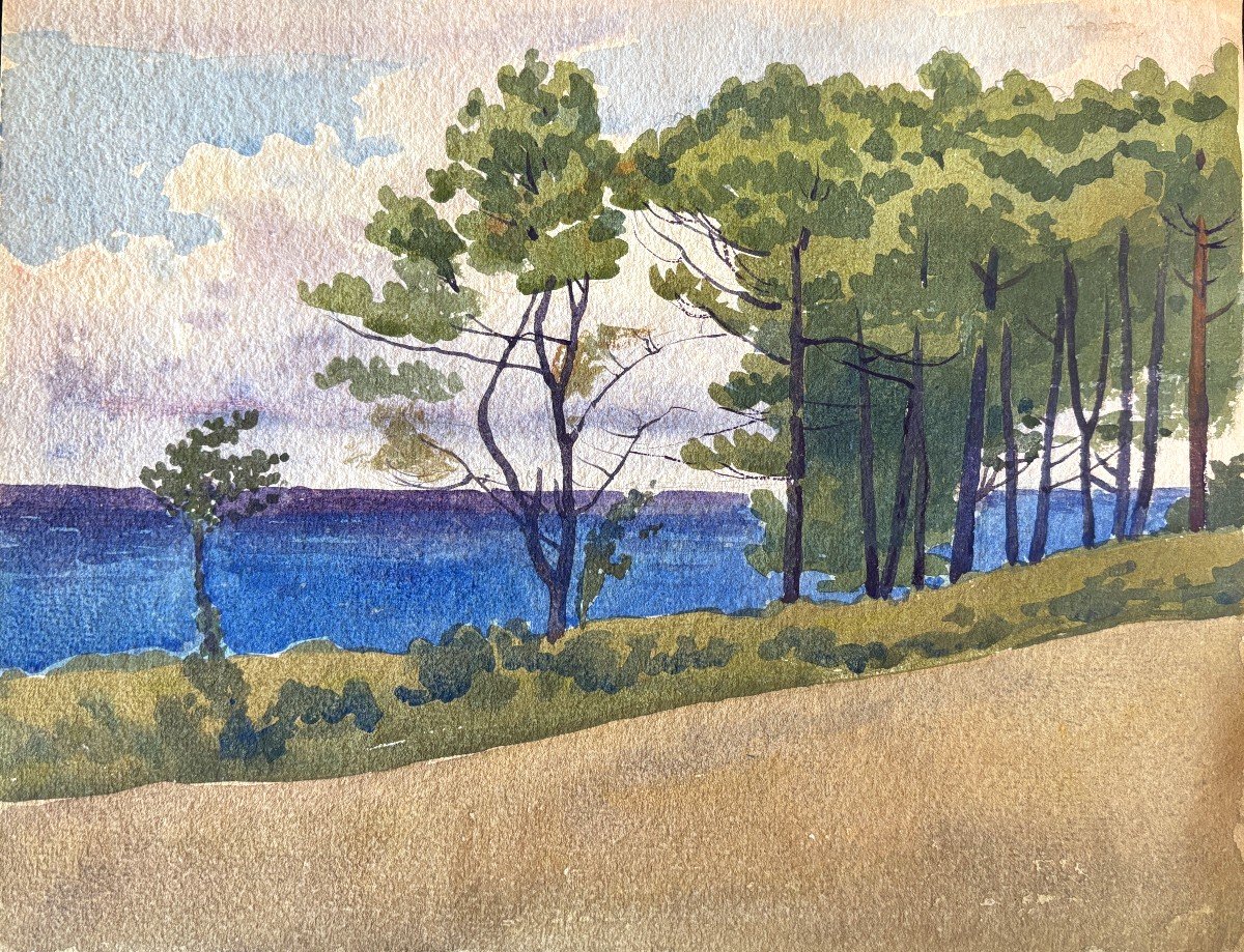 André Morisset (1876-1954), Pines By The Sea, Watercolor Drawing