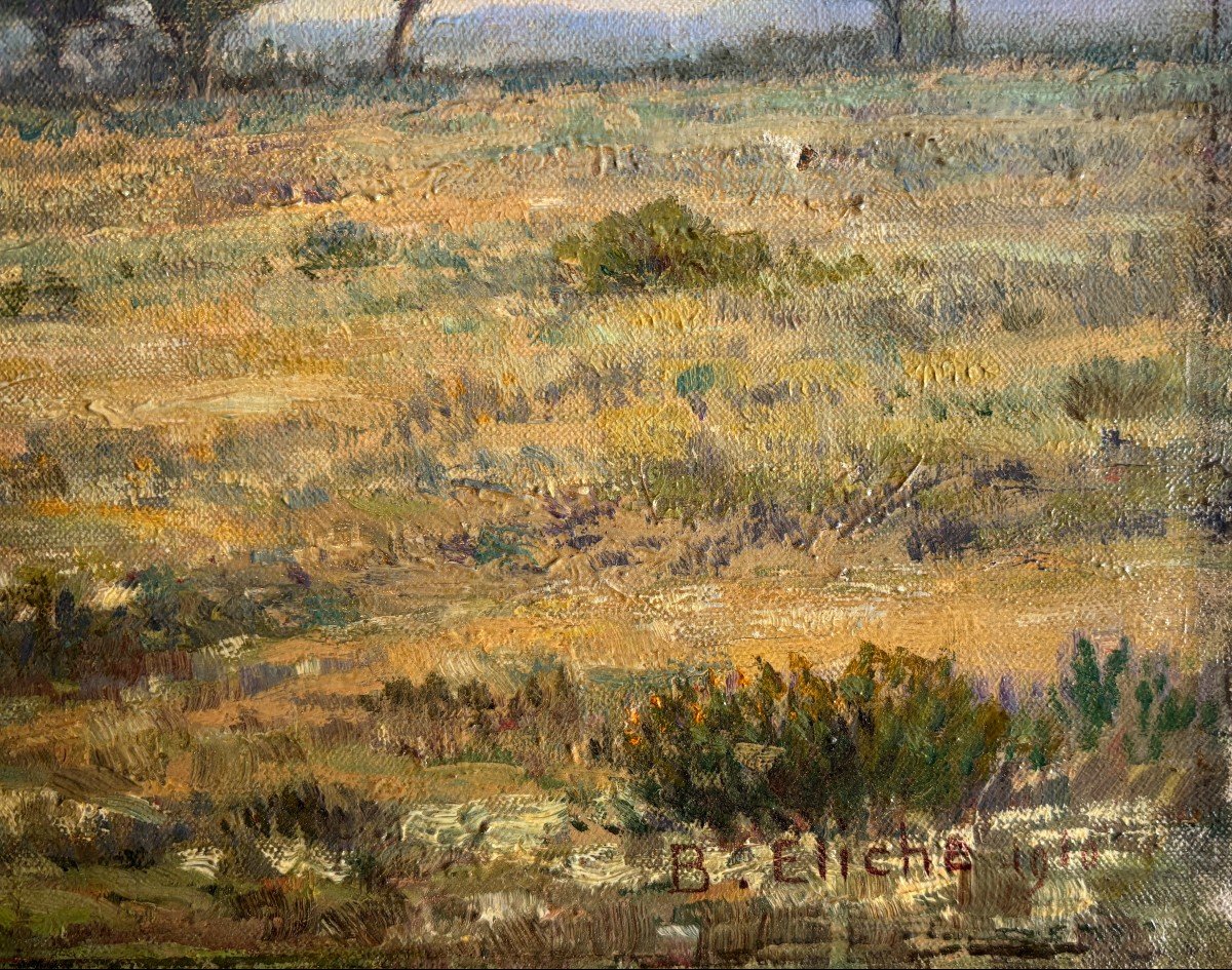 Jean-baptiste Eliche (born In 1866), Landscape: Umbrella Pines In Hyères In The Var, Oil On Canvas-photo-1