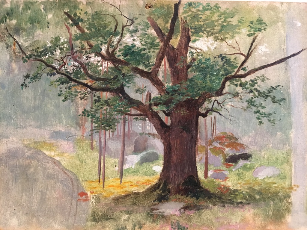 Georges Antoine Rochegrosse (1859-1938), Study Of Oak In Fontainebleau, Oil On Panel