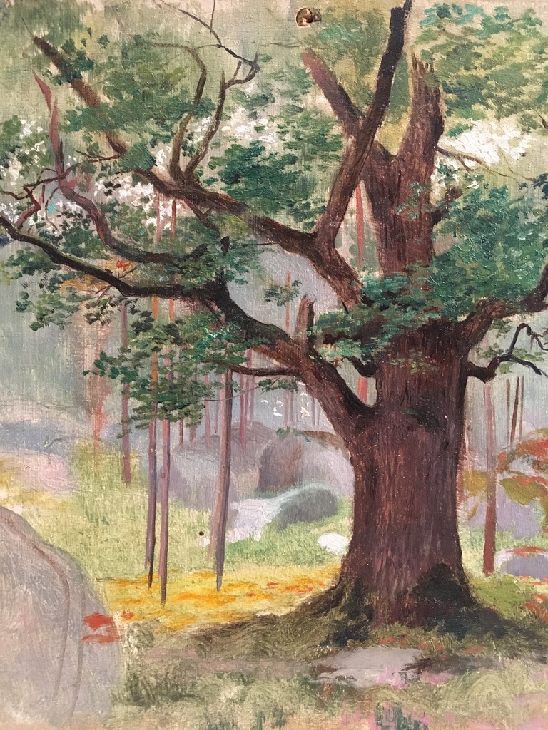 Georges Antoine Rochegrosse (1859-1938), Study Of Oak In Fontainebleau, Oil On Panel-photo-2