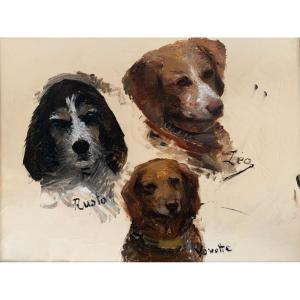 French School Around 1900, Study Of Dog Heads: Canine Portraits, Sketch, Oil Canvas