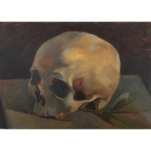 Ecole Française Vers 1920, Vanité : Crâne à La Branche De Laurier, Huile, Cabinet De Curiosités