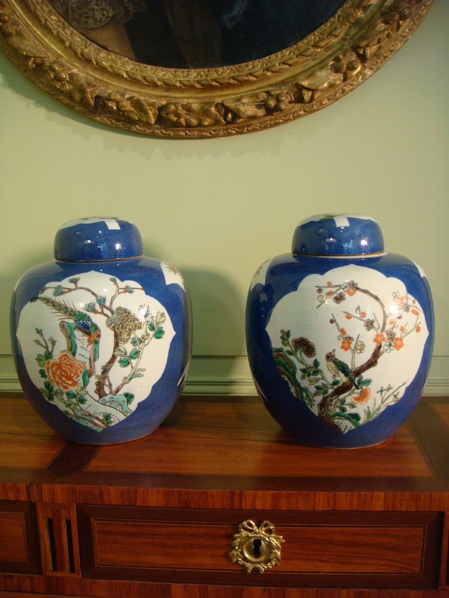 Pair Of Chinese Porcelain Ginger Jars - 19th Century Period. 