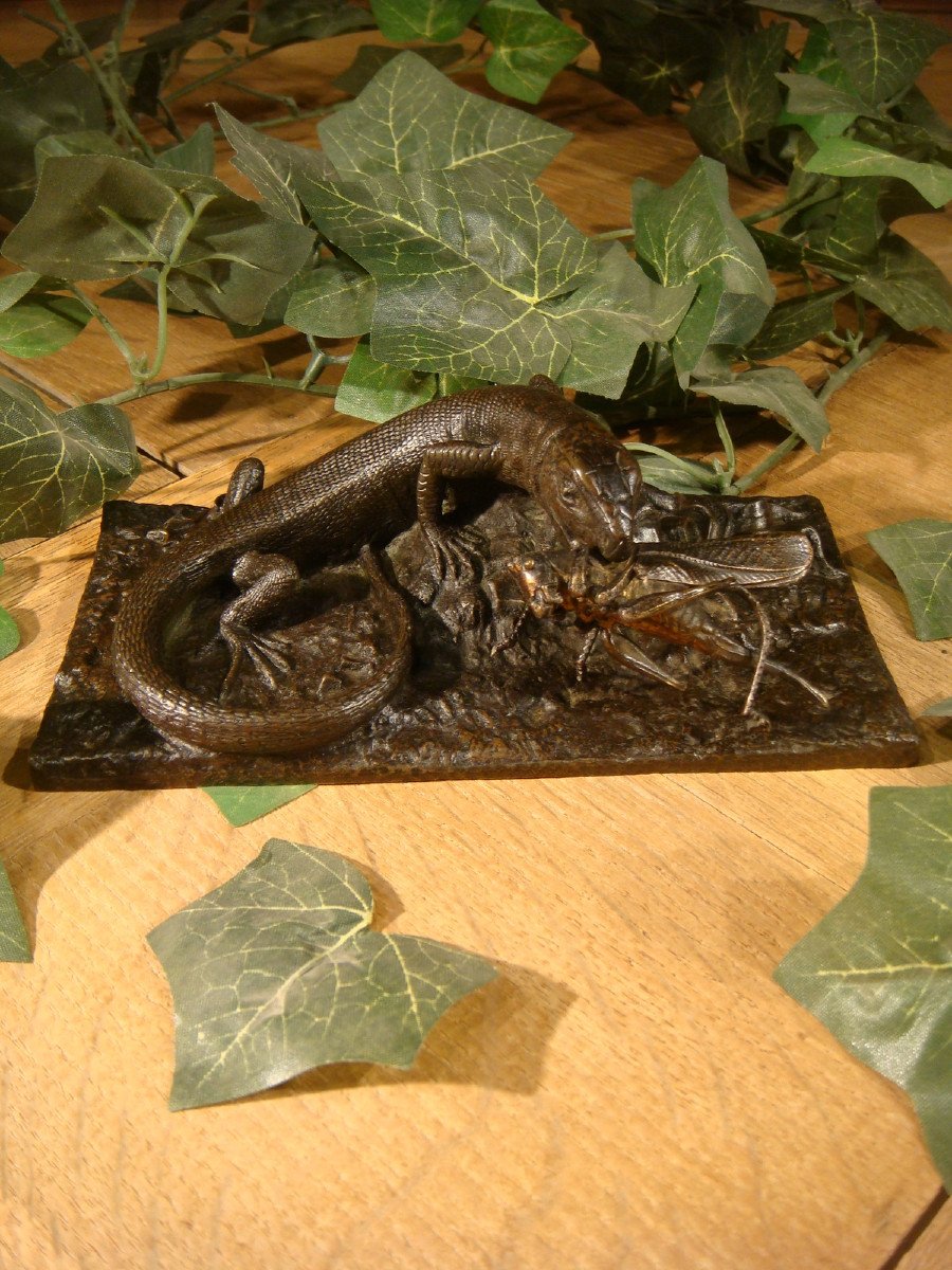 Bronze Lizard With Grasshopper Period Late 19th Century -photo-2