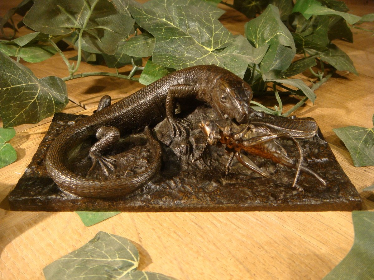 Bronze Lizard With Grasshopper Period Late 19th Century -photo-3