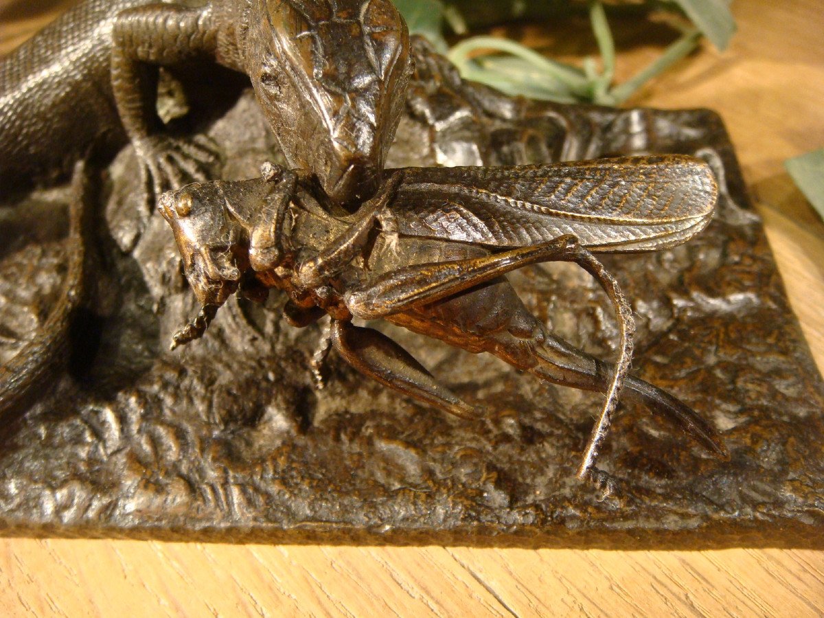 Bronze Lizard With Grasshopper Period Late 19th Century -photo-4