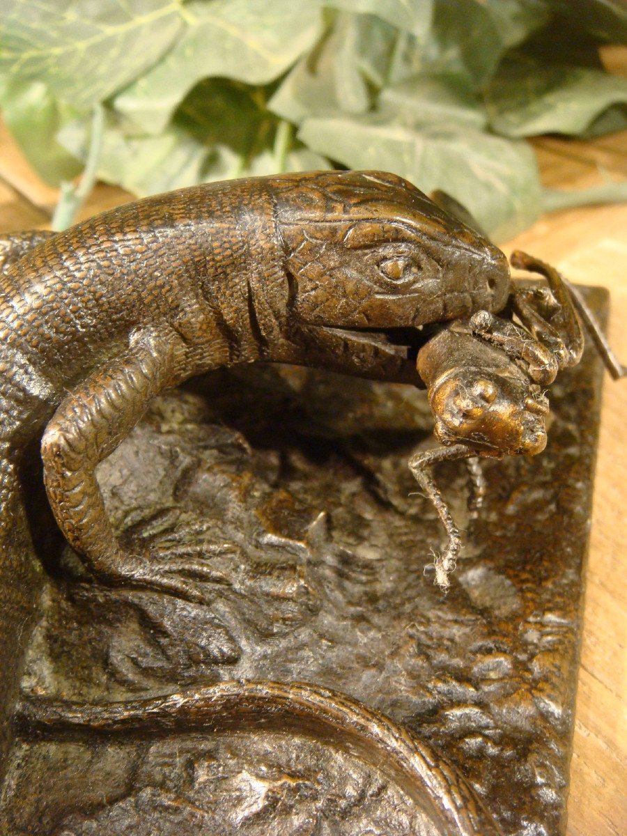 Bronze Lizard With Grasshopper Period Late 19th Century -photo-4