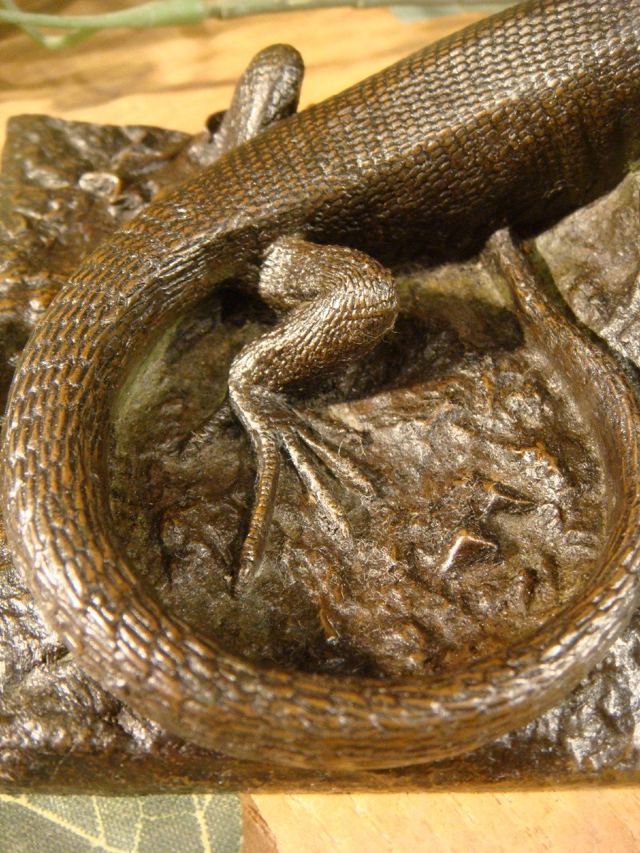 Bronze Lezard A La Sauterelle Epoque Fin XIX ème -photo-6