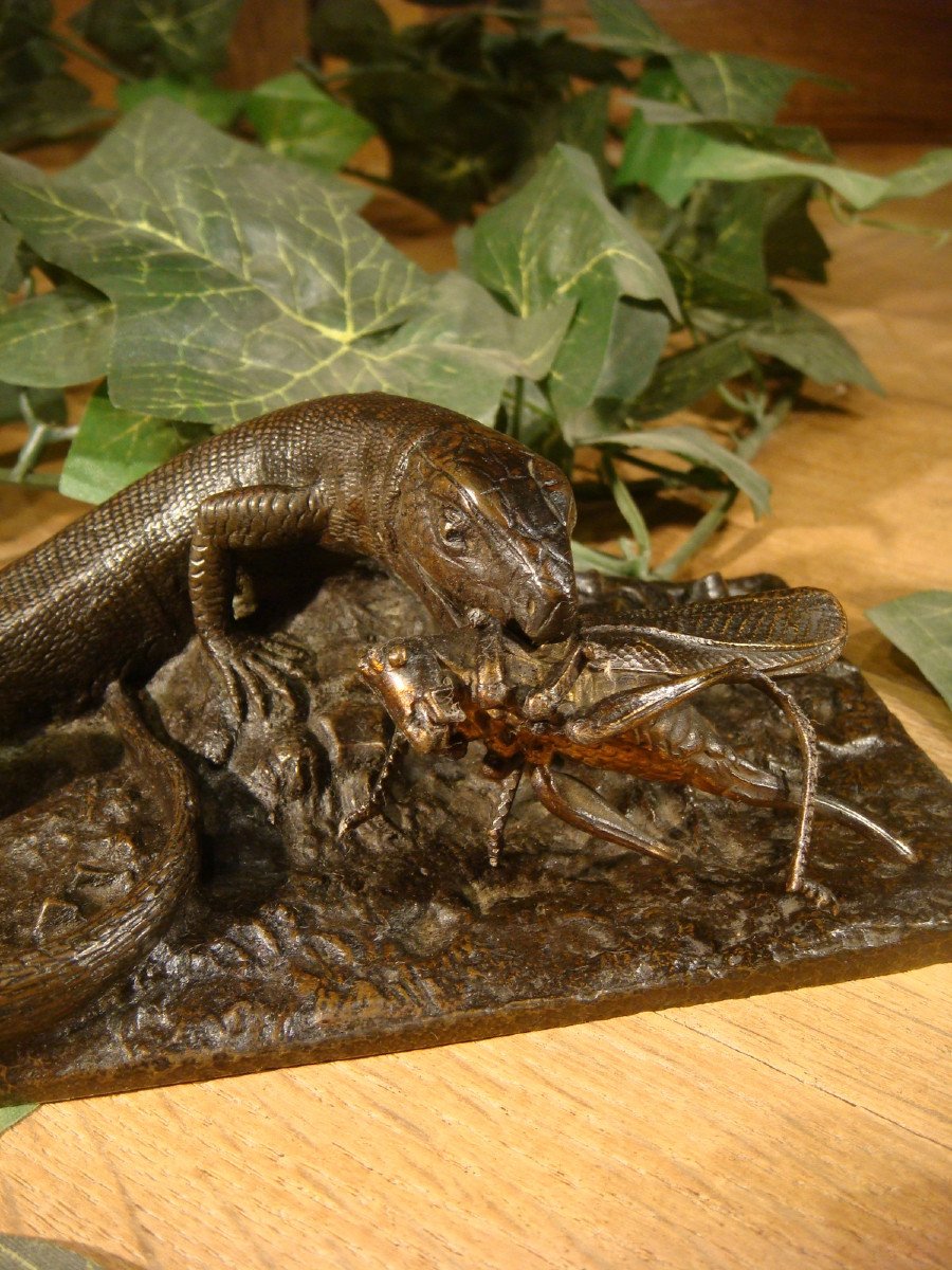 Bronze Lizard With Grasshopper Period Late 19th Century 