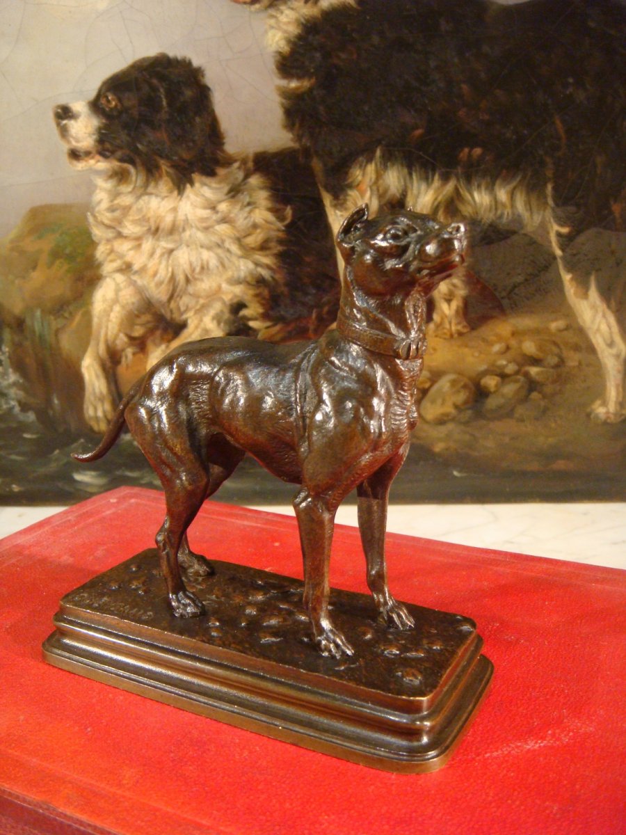 Sculpture Chien En Bronze De Dubucand