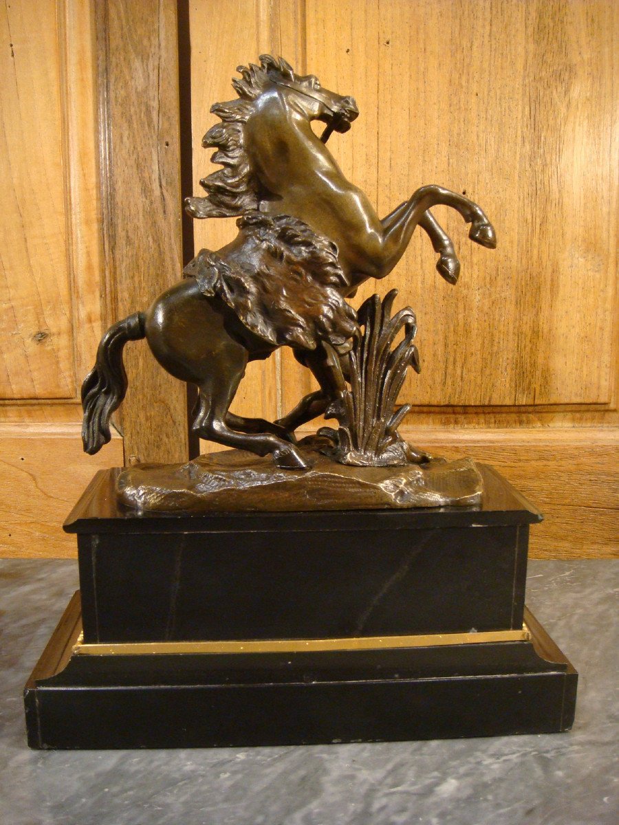 Paire De Sculptures Chevaux Cabrés En Bronze - Chevaux De Marly -photo-4