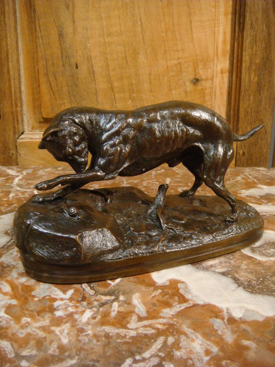 Dog Bronze Playing With A Snail Signed De Chemin-photo-4