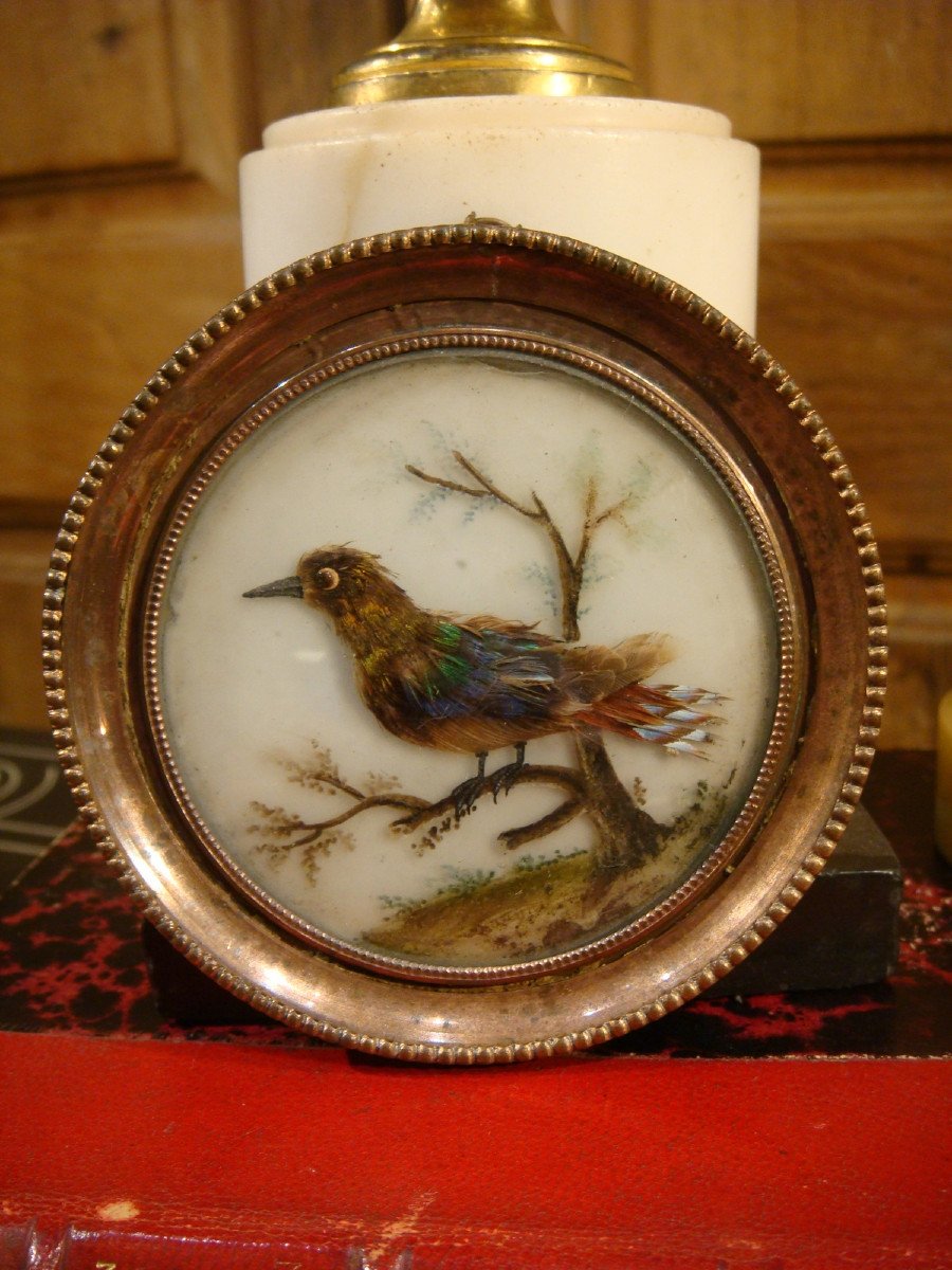 Miniature Feathered Bird Frame - Empire Period-photo-2