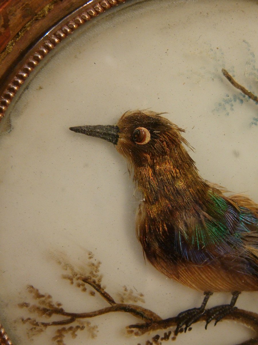 Miniature Feathered Bird Frame - Empire Period-photo-4