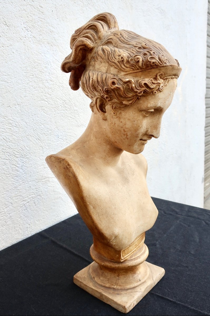 "hébé", Antique Plaster Bust, After Antonio Canova, Late 19th-early 20th Century.-photo-2