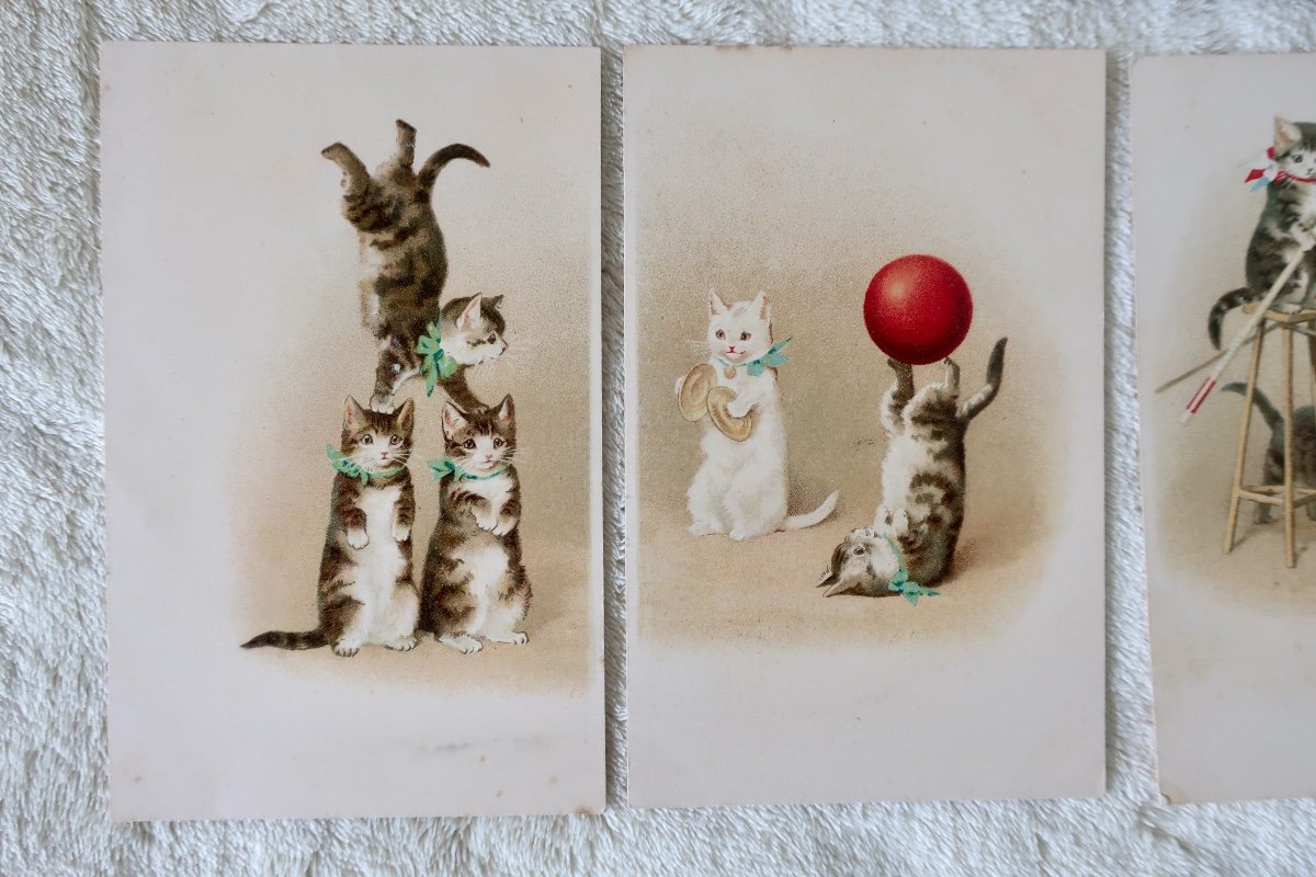 13 Postcards Cats And Animals, Helena Maguire, Advertisements... 1900-1930-photo-4