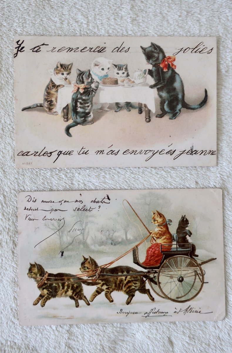 13 Postcards Cats And Animals, Helena Maguire, Advertisements... 1900-1930-photo-1