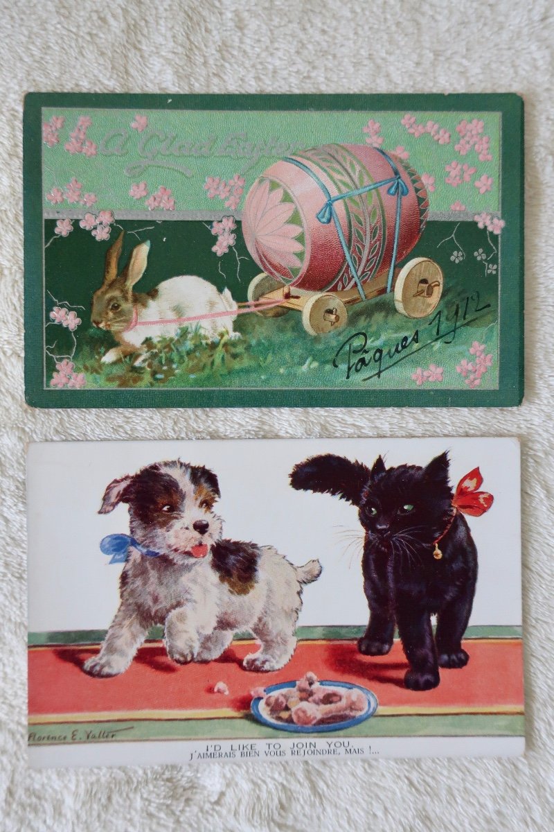 13 Postcards Cats And Animals, Helena Maguire, Advertisements... 1900-1930-photo-7