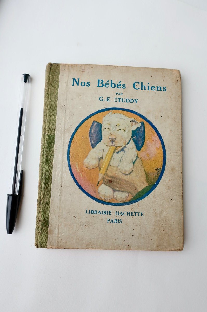 George Ernest Studdy, Rare Petit Livre "bonzo" , Nos Bébés Chiens, Hachette, 1924-photo-2