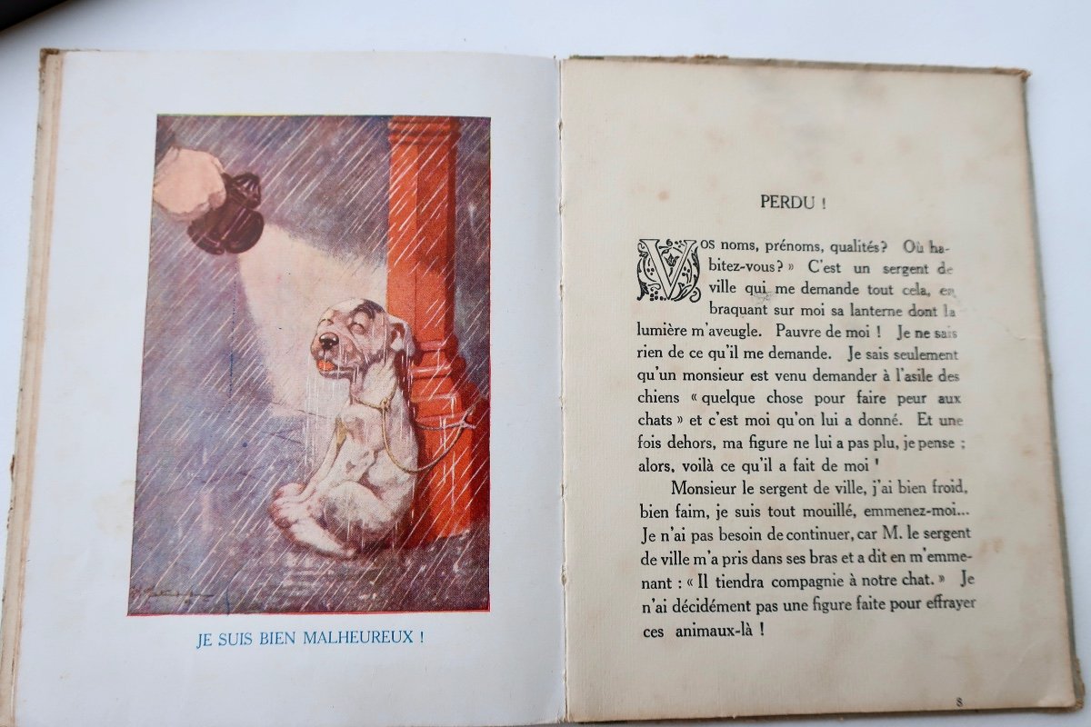 George Ernest Studdy, Rare Little “bonzo” Book, Our Baby Dogs, Hachette, 1924-photo-5