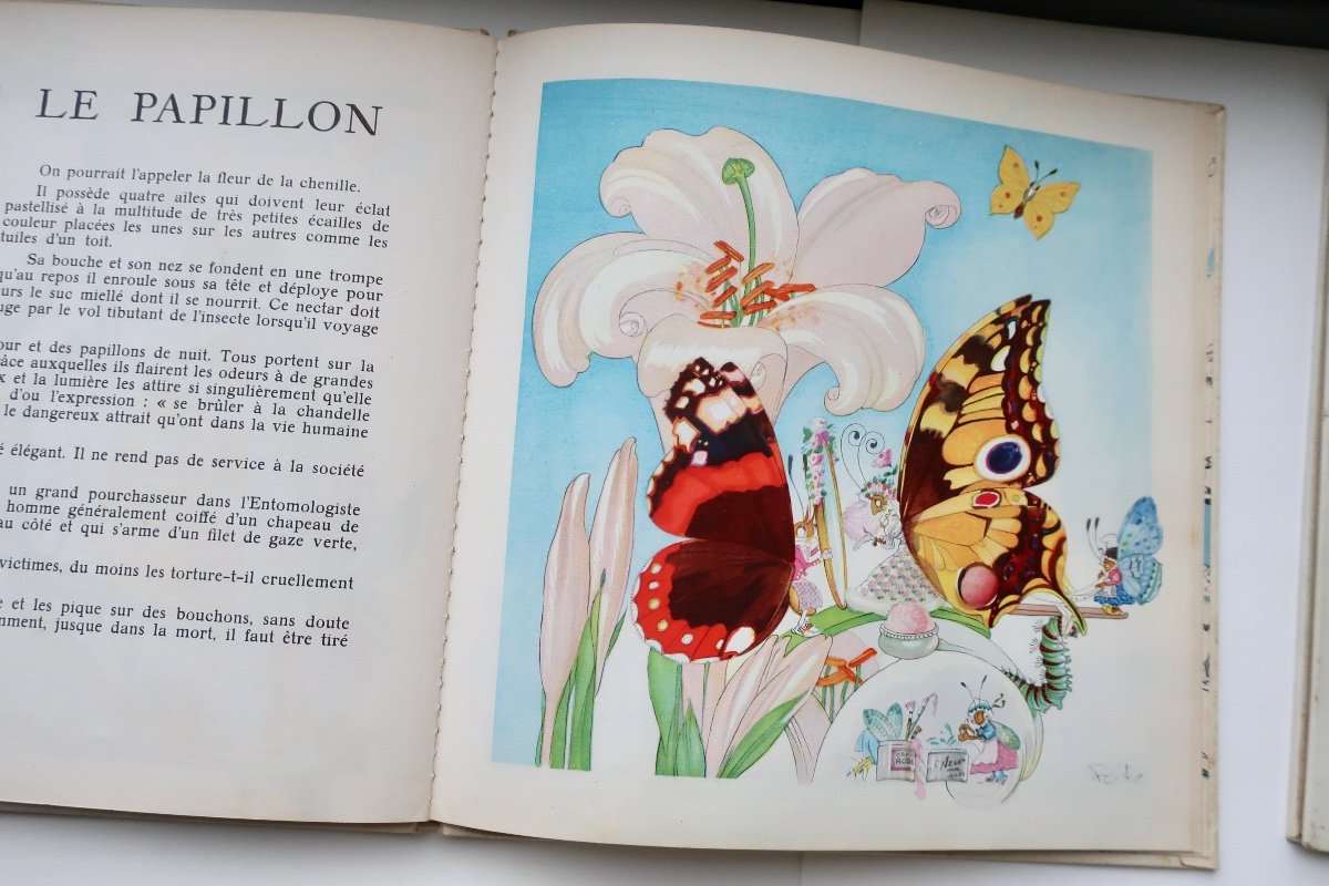 The Children's Buffon, Volumes II And III, 1954, Felix Lorioux & Bernard Roy-photo-4