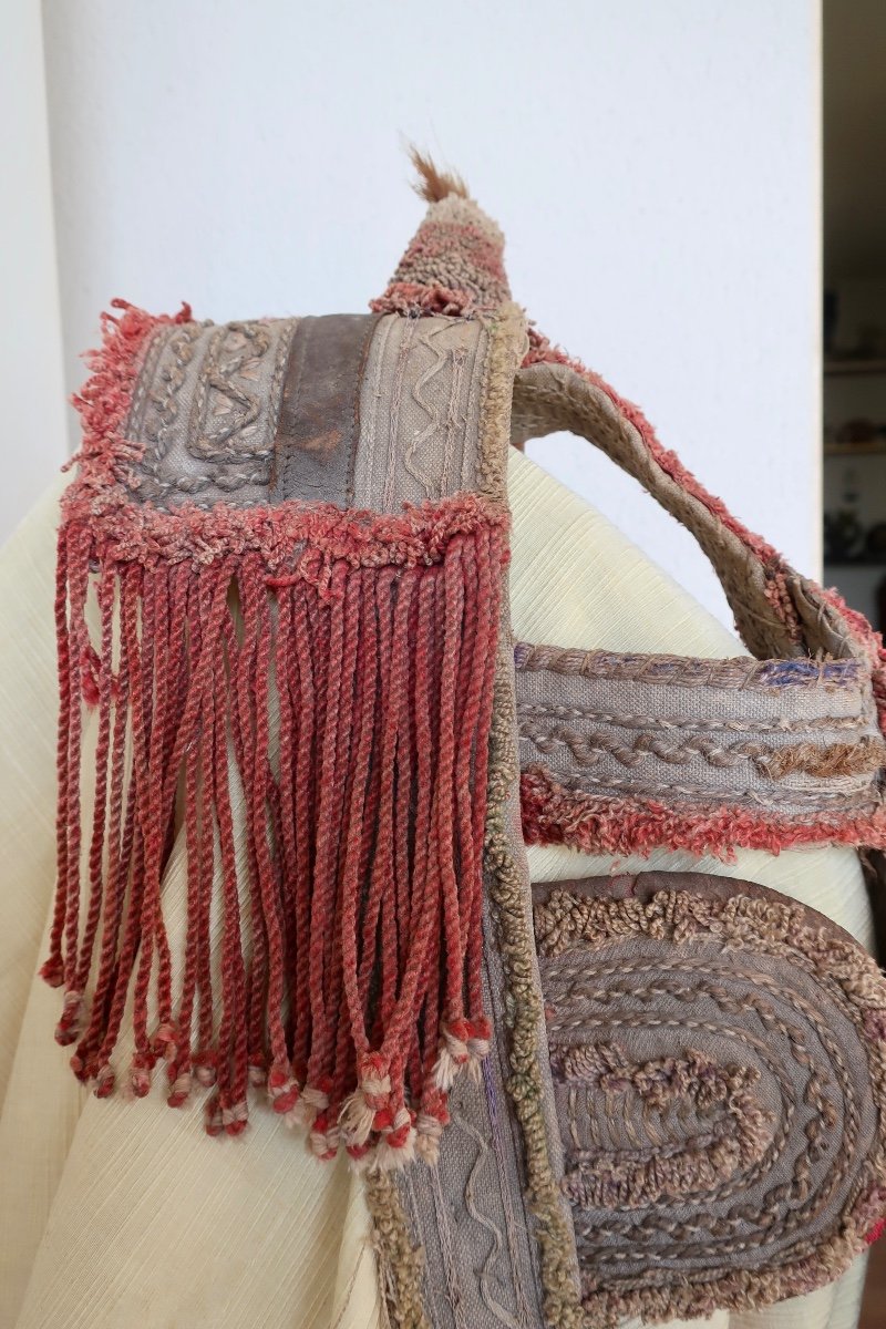 Antique Horse Halter, Ceremonial Or Parade Bridle, Indo-pakistani, Early 20th Century.-photo-4